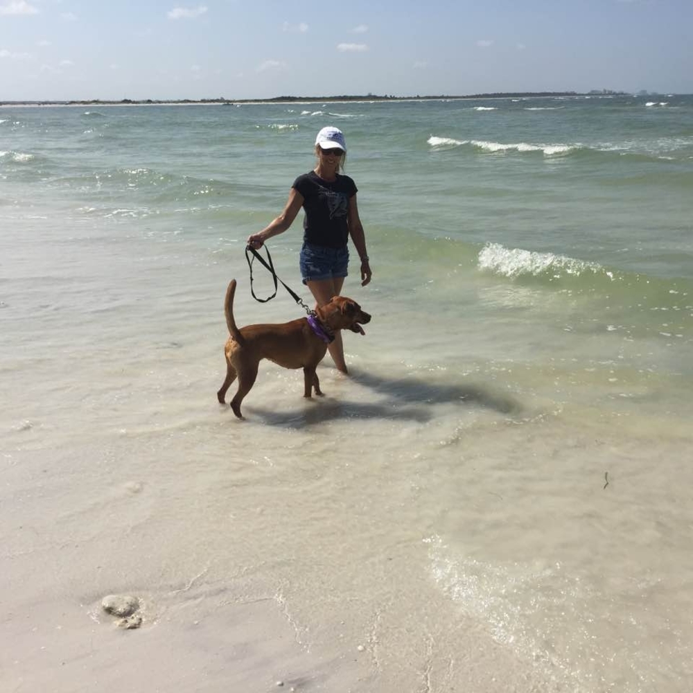 Meet your Posher, Diane